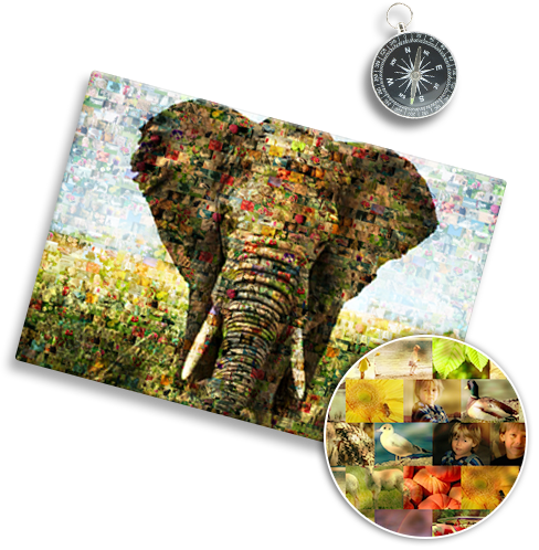 Mosaico de fotos ejemplo elefante