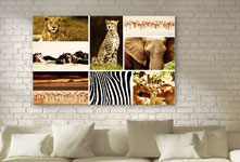 Salon con foto lienzo collage ejemplo animales salvajes